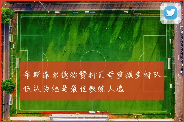 希斯菲尔德称赞科瓦奇重振多特队伍认为他是最佳教练人选
