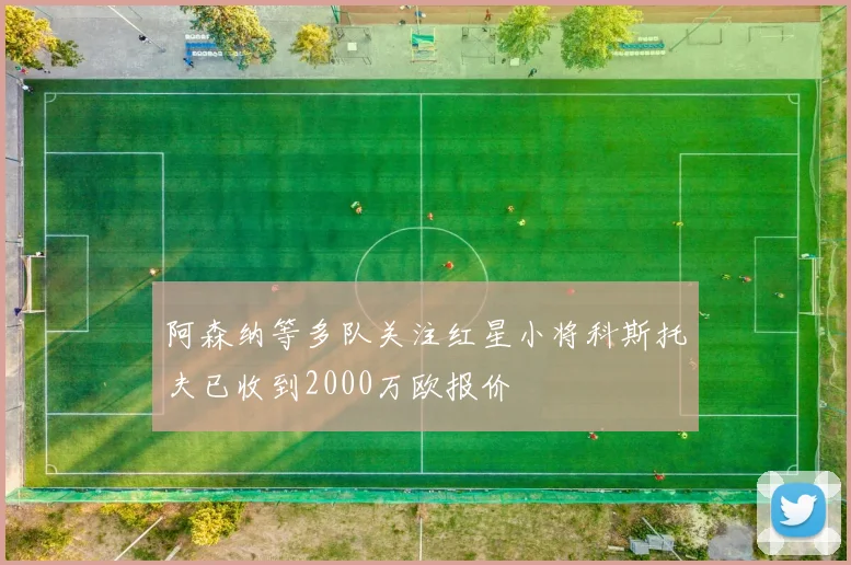 阿森纳等多队关注红星小将科斯托夫已收到2000万欧报价